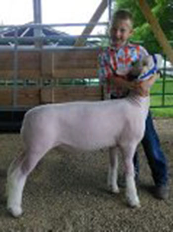 Vandevanter Winner